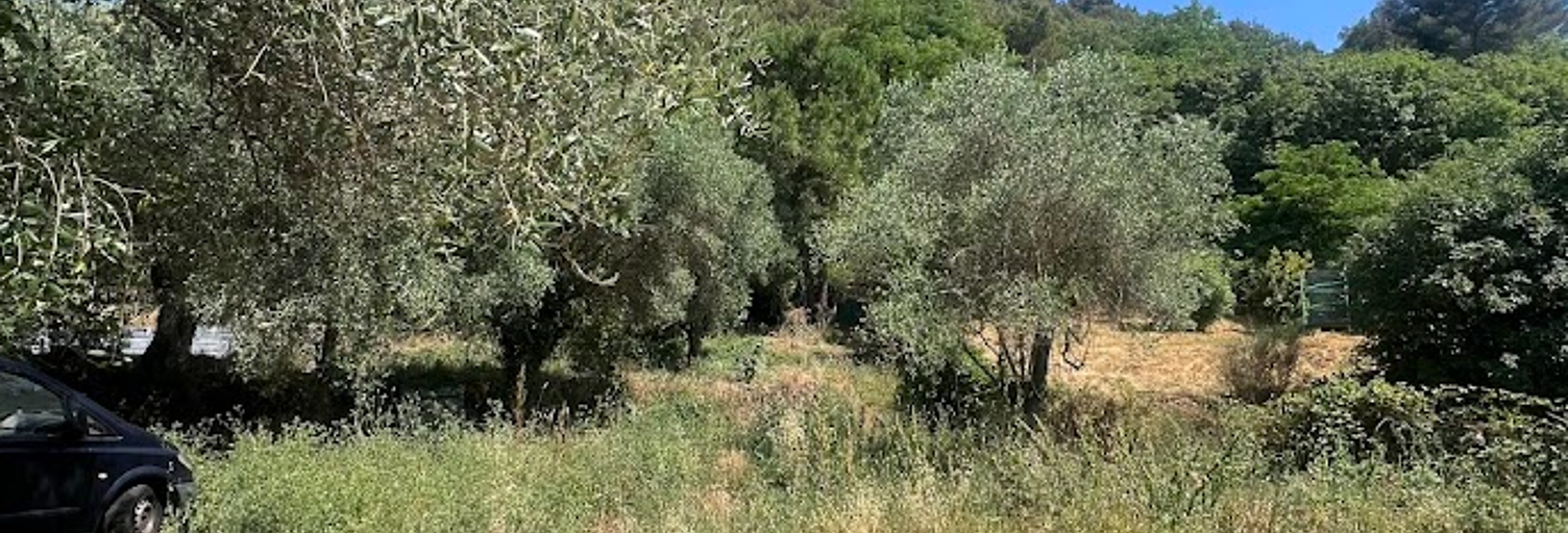 Maison 98 m² à construire La Trinité (06340)