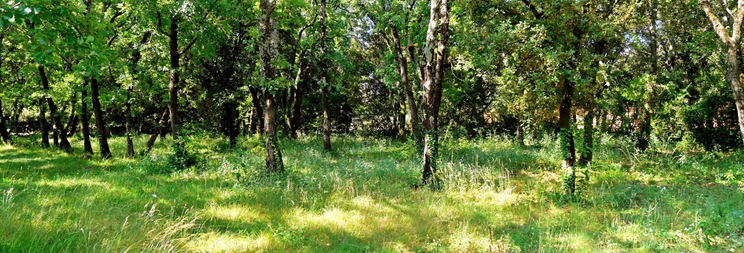 Terrain  937 m² à vendre à Uzès (30700)