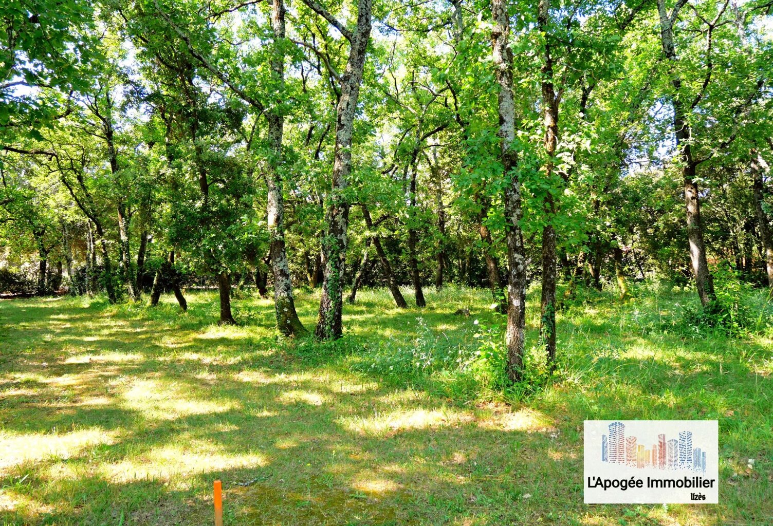 Terrain à bâtir 1055m² — photo 1
