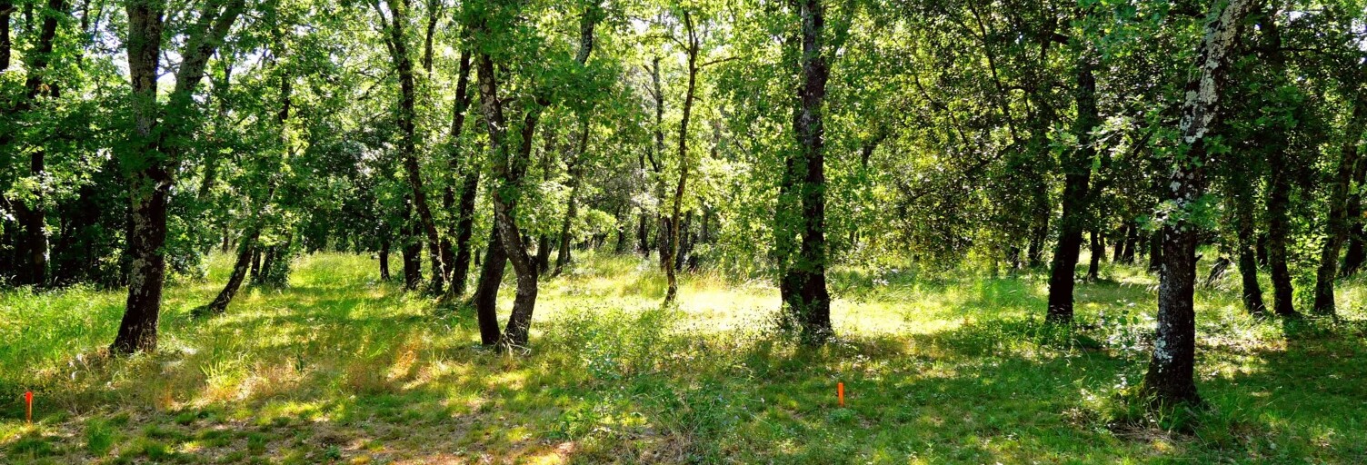 Terrain  636 m² à vendre à Uzès (30700)