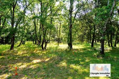 Terrain  135000 €