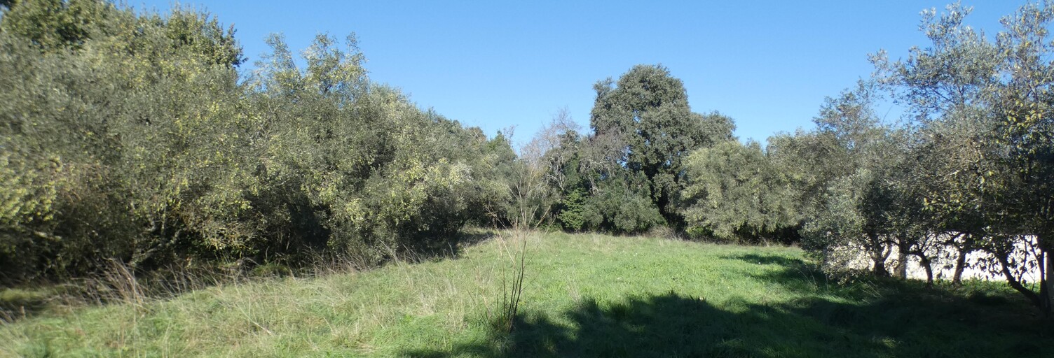 Terrain 1195 m² à construire Uzès (30700)