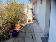Appartement 3 pièces 111 m² — photo 4