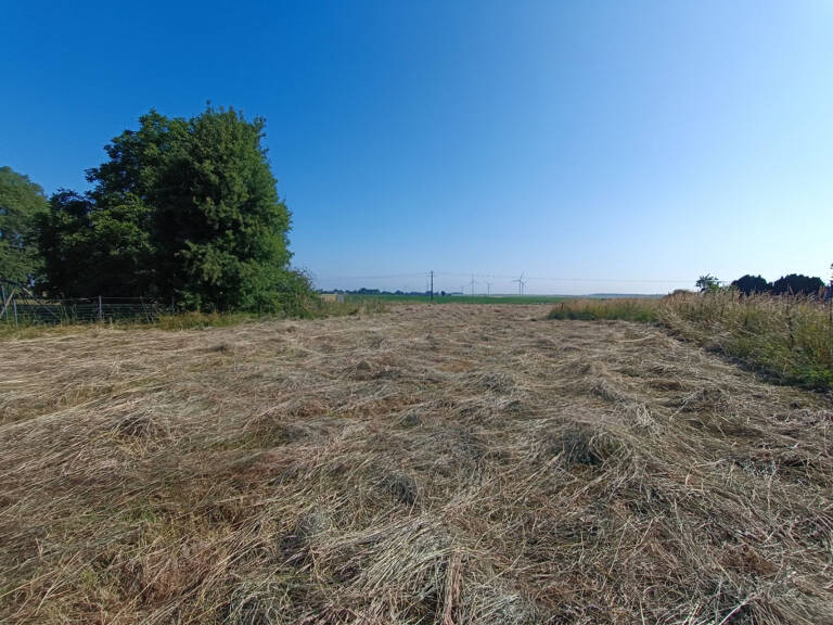 Terrain constructible – 2 643 m² — photo 1