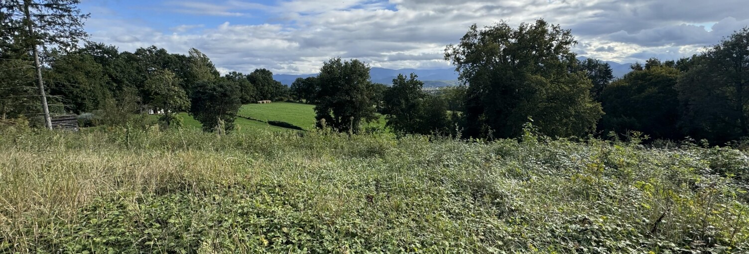 Terrain  2888 m² à vendre à Landorthe (31800)