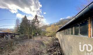 Photo N° 5