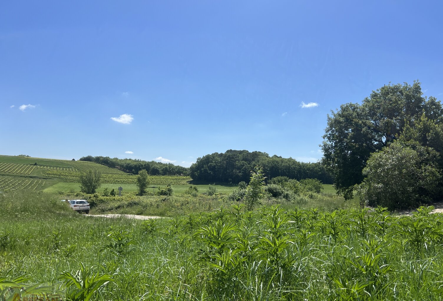 Terrain — photo 1