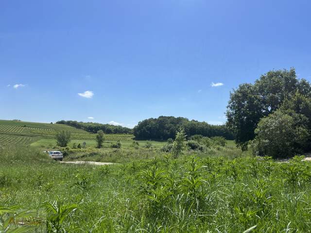 Terrain — photo du bien