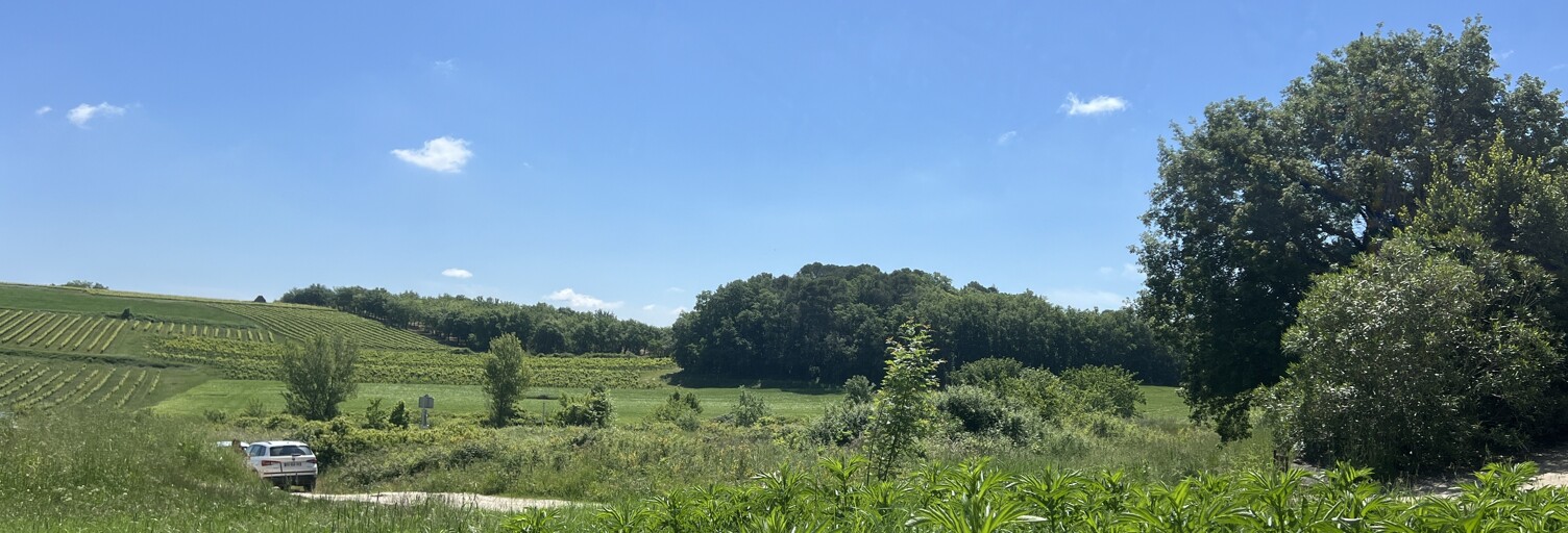 Terrain  550 m² à vendre à Saint-Maurice-de-Cazevieille (30360)