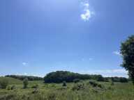 Terrain — photo 4