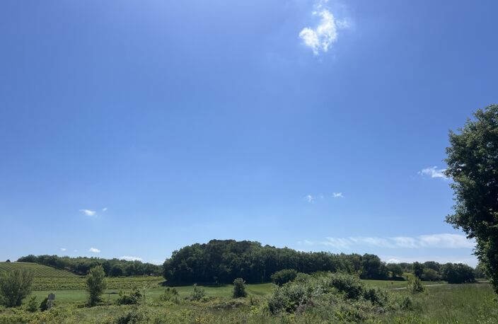 Terrain — photo 4