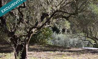 Terrain  702 m² à vendre à Pignans (83790)