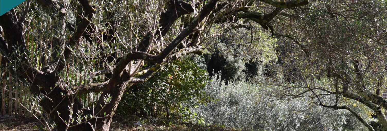 Terrain  702 m² à vendre à Pignans (83790)