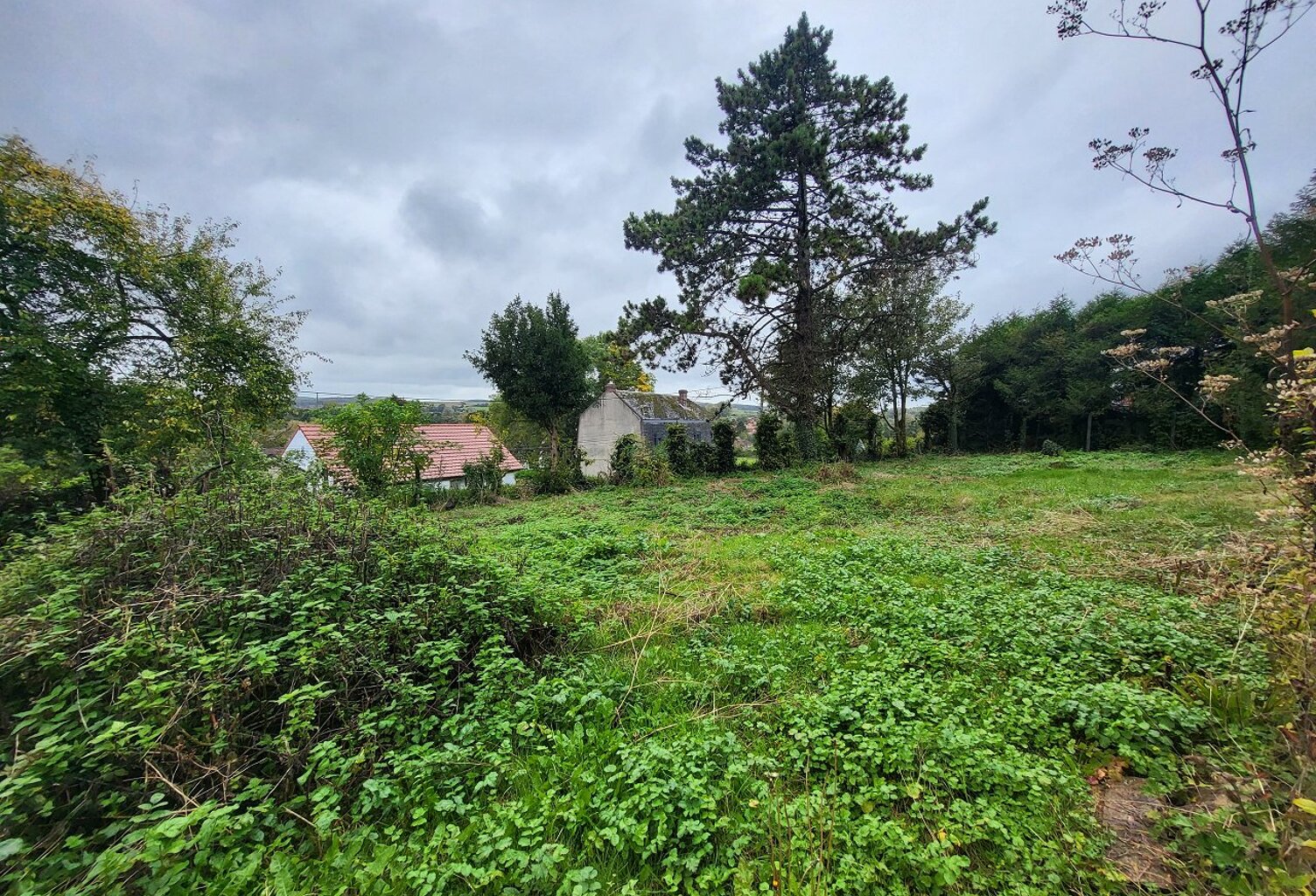 Terrain à vendre — photo 1