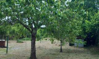 Photo N° 8