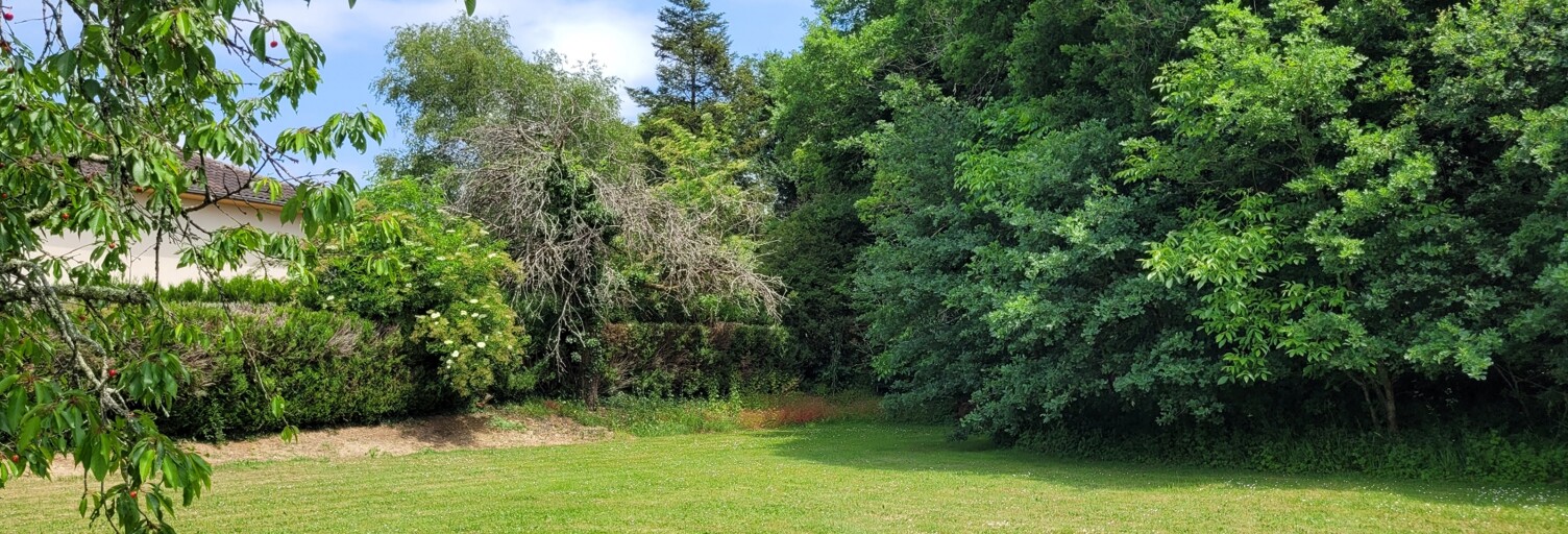 Terrain  2200 m² à vendre à Pranzac (16110)