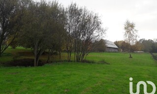 Photo N° 5