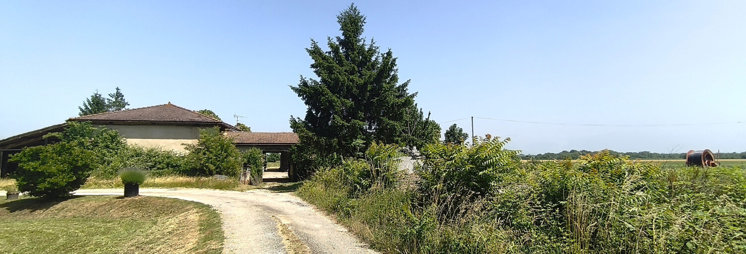 Photo N° 2