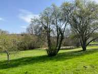 Maison de campagne — photo 3