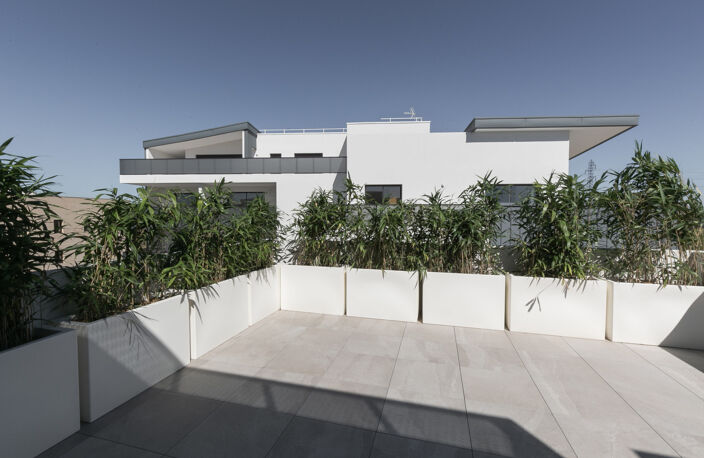 Appartement T3 St-jean-de-védas — photo 4