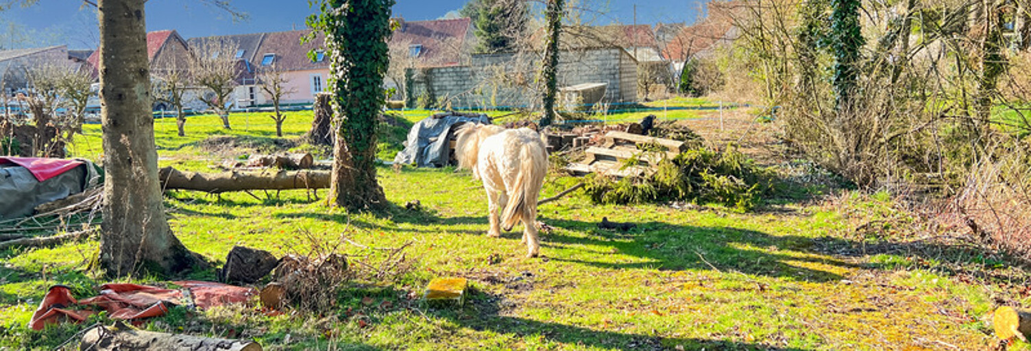 Maison 7 Pièces 152 m² à vendre à Wirwignes (62240)