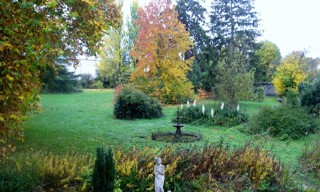 Photo N° 6