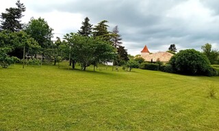 Photo N° 15