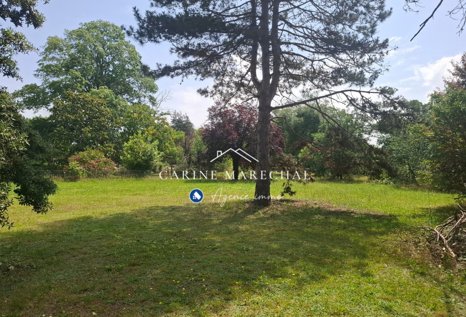 Terrain arboré 1 991 m²  600 m² constructibles  Tournef — photo 1