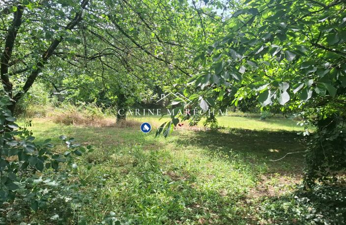 Terrain arboré 1 991 m²  600 m² constructibles  Tournef — photo 2
