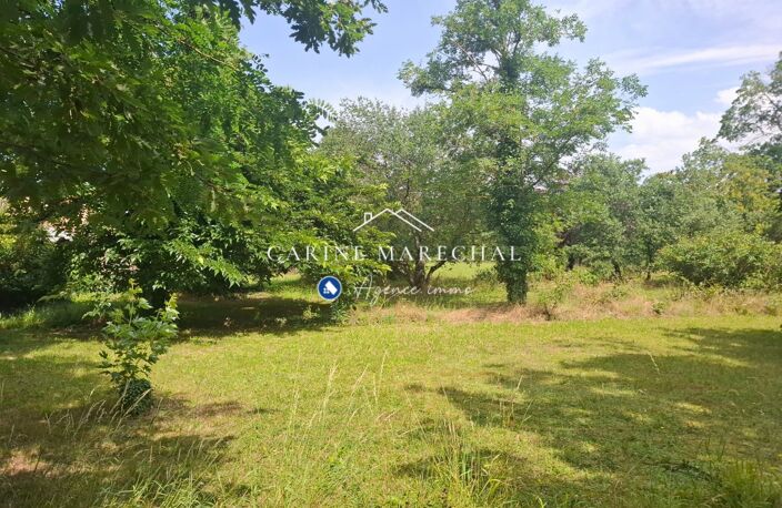 Terrain arboré 1 991 m²  600 m² constructibles  Tournef — photo 3
