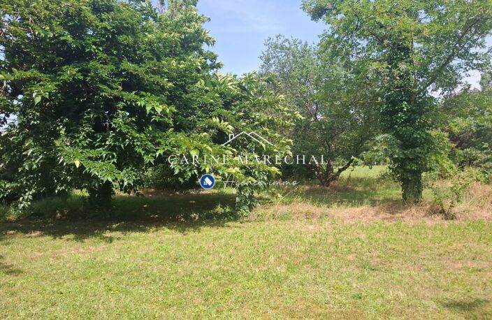 Terrain arboré 1 991 m²  600 m² constructibles  Tournef — photo 4