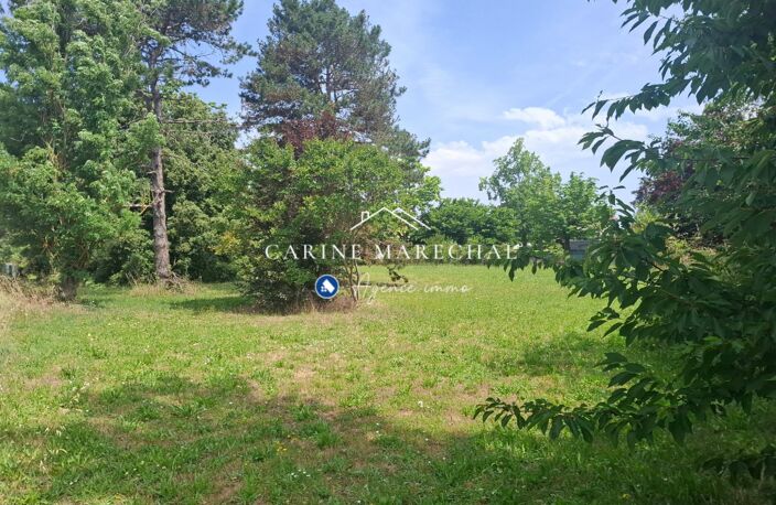 Terrain arboré 1 991 m²  600 m² constructibles  Tournef — photo 5