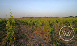 Terrain  91585 m² à vendre à Tourbes (34120)