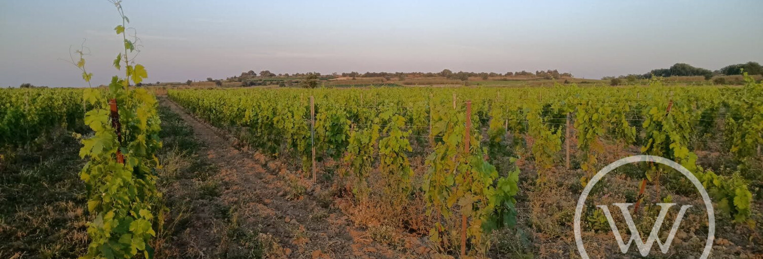 Terrain  91585 m² à vendre à Tourbes (34120)