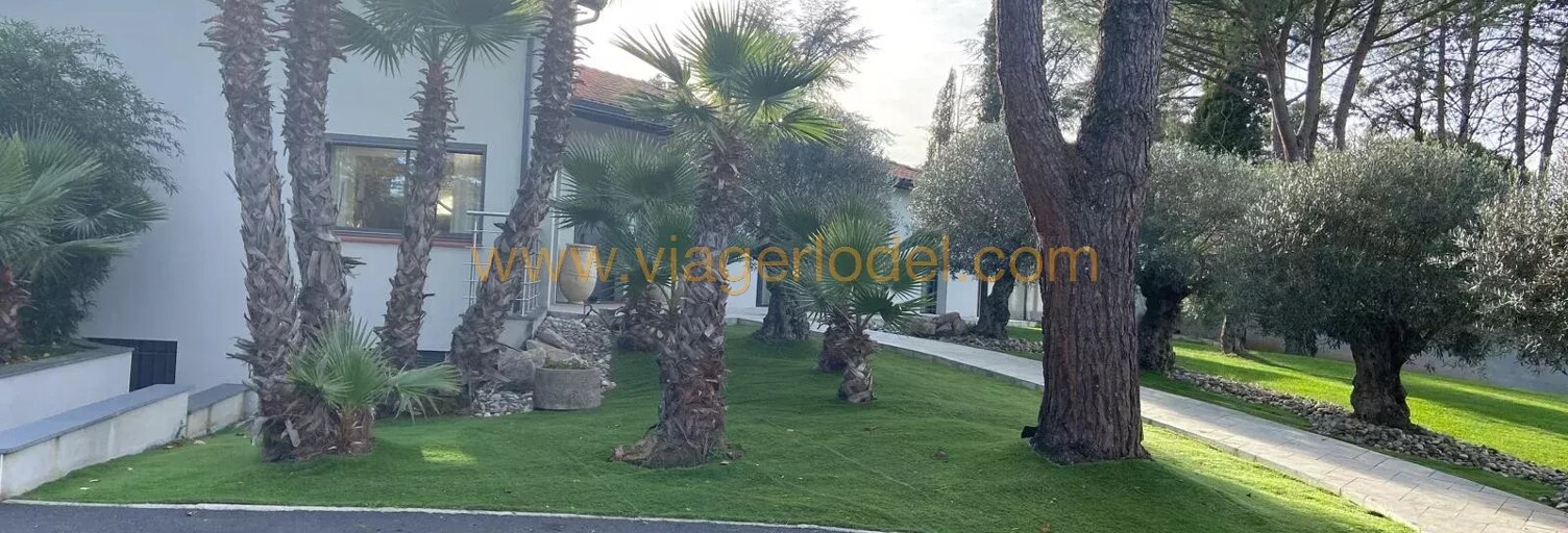 Maison 230 m² en viager Albi (81000)