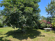 Charmante maison de village sur grand jardin clos — photo 3