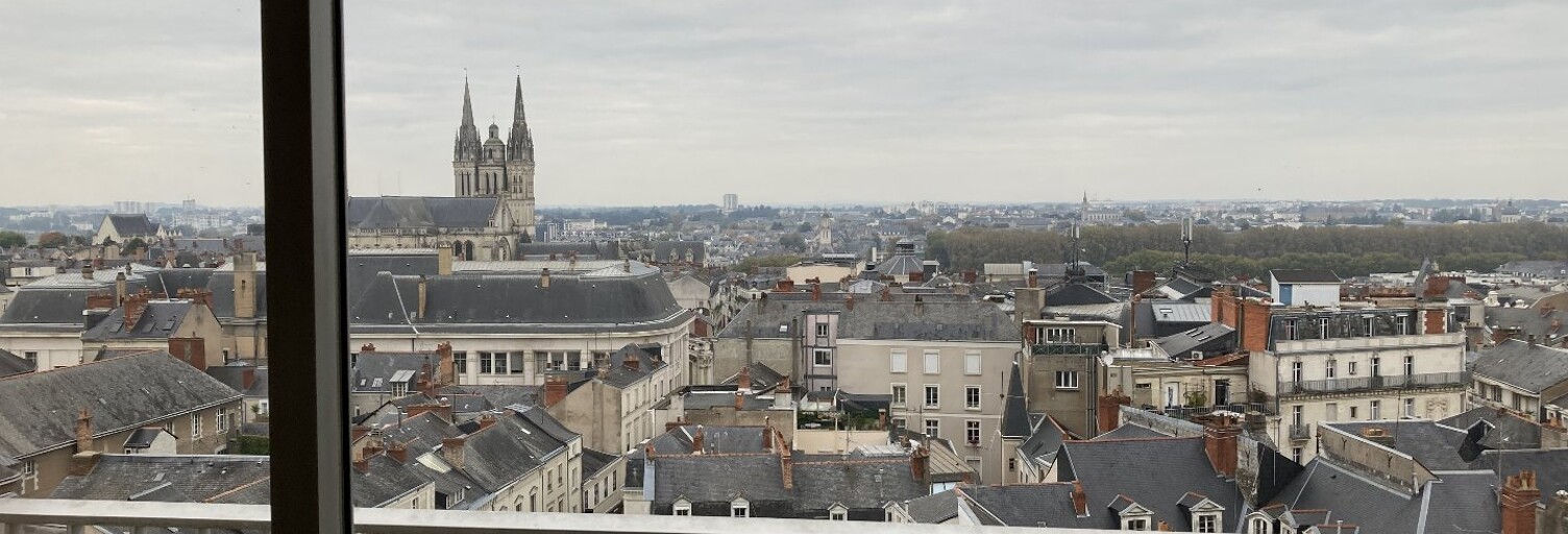 Appartement 1 Pièce 29 m² à vendre à Angers (49000)