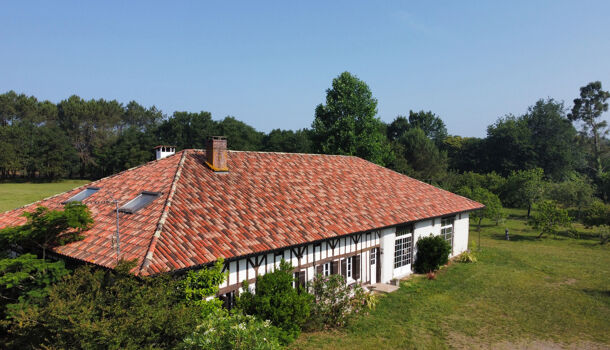 Villa / Maison 16 pièces  à vendre Saint-Vincent-de-Tyrosse 40230
