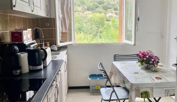 Appartement 3 pièces  à louer Amélie-les-Bains-Palalda 66110