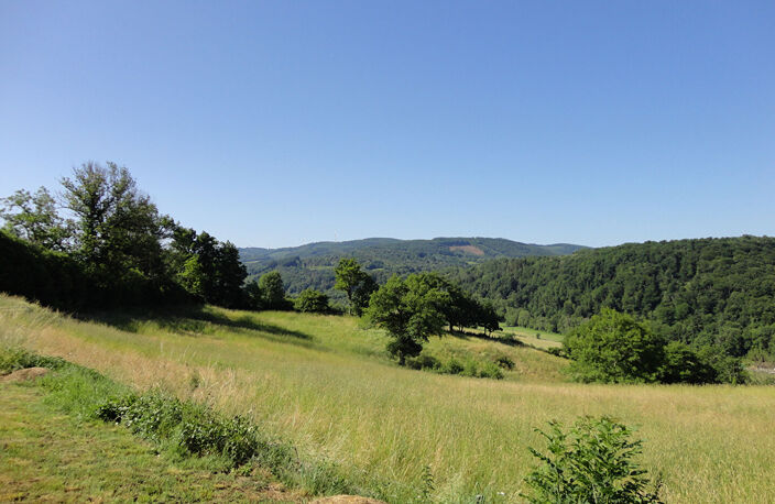 COUP DE COEUR ABSOLU ! — photo 5