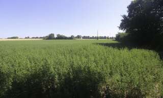 Terrain  4397 m² à vendre à Nachamps (17380)