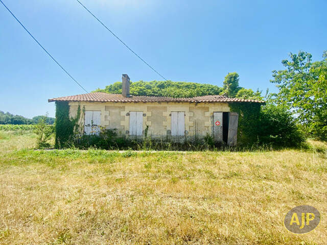 Ruine avec 1ha de terrain au milieu des vignes ! — photo du bien