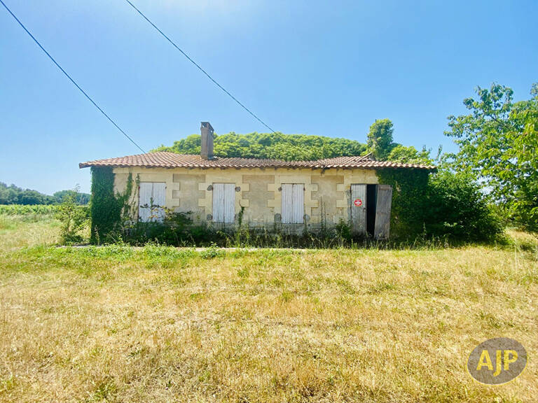 Ruine avec 1ha de terrain au milieu des vignes ! — photo 1