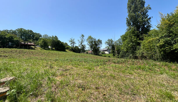 Terrain  à vendre Bosdarros 64290