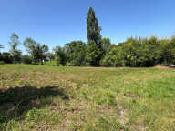 Terrain Bosdarros 2241 m2 — photo 3
