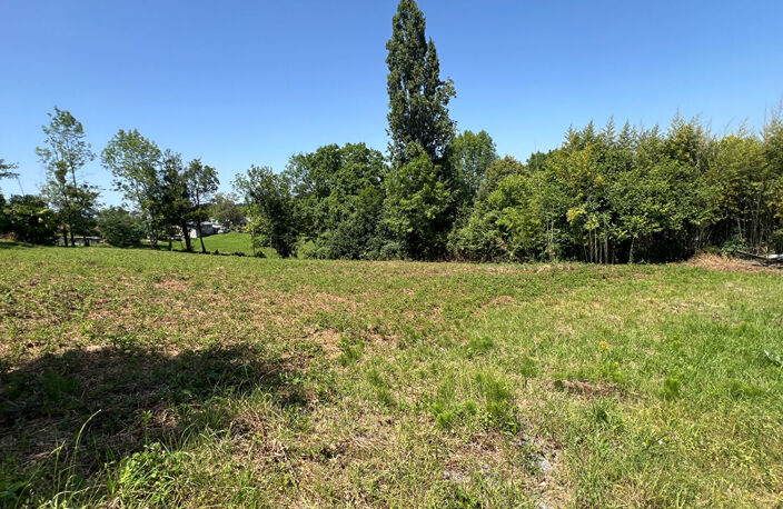 Terrain Bosdarros 2241 m2 — photo 3