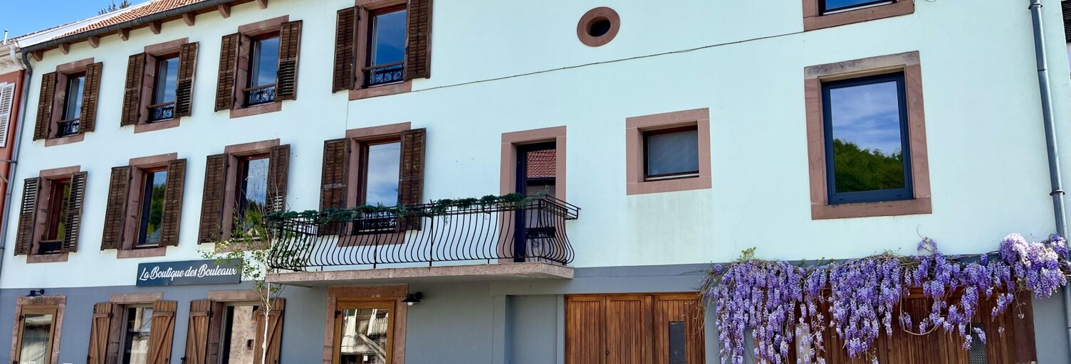 Maison 7 Pièces 252 m² à vendre à Walscheid (57870)