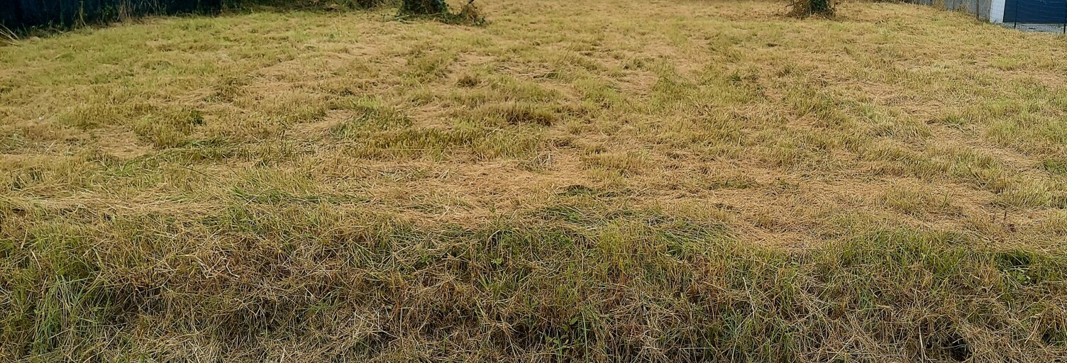 Terrain  605 m² à vendre à Blanquefort (33290)