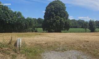 Terrain  1186 m² à vendre à Limendous (64420)