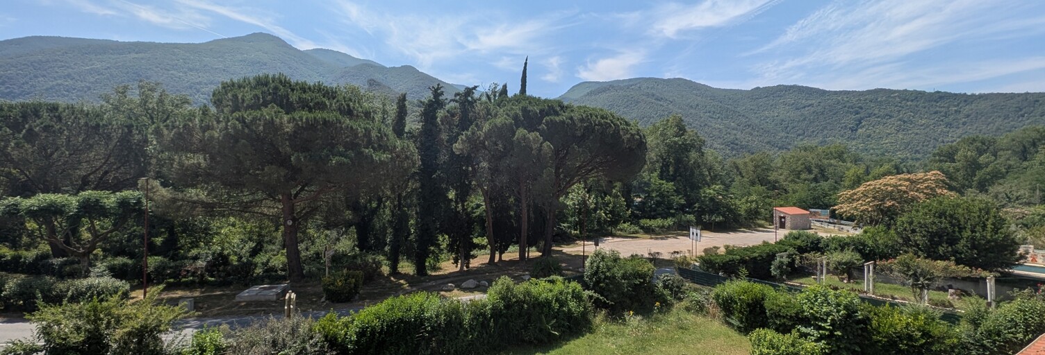 Maison 10 Pièces 350 m² à vendre à Arles-sur-Tech (66150)